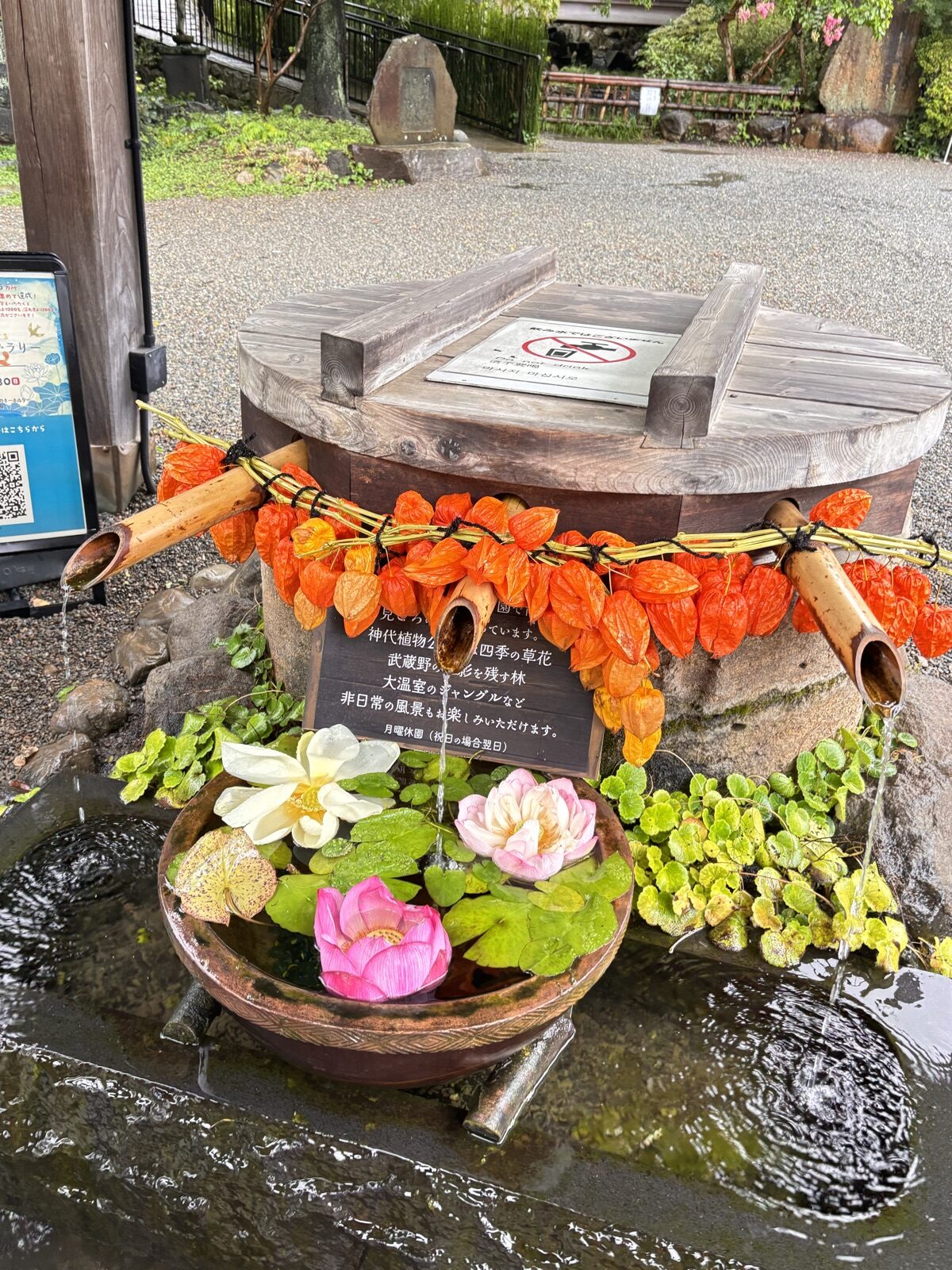 ほおずきと蓮の花が飾られた深大寺の手水鉢
