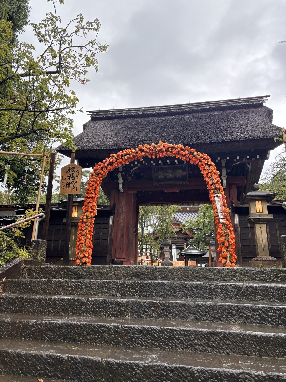 石段の下から見上げた深大寺の山門とほおずきの飾り